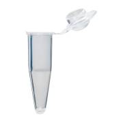 0.2 mL Individual PCR Tube with Cap - Dome Cap, Clear (Box of 1000)
