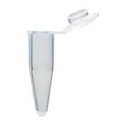 0.2 mL Individual PCR Tube with Cap - Frosted Flat Cap, Clear (Box of 1000)