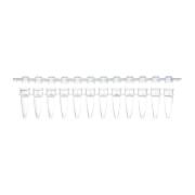 0.2 mL 12-Strip PCR Tube with Separate Cap Strip - Dome Cap (Box of 80)