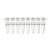 0.2 mL 8-Strip PCR Tube with Separate Cap Strip - Dome Cap (Box of 125)