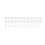 0.2 mL 12-Strip PCR Tube with Separate Cap Strip - Flat Cap (Box of 80)