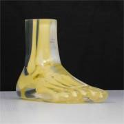 RSD Transparent Foot / Ankle Phantom