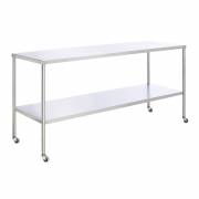 Stainless Steel Instrument Table with Shelf, 24