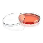 Diamond® SureGro™ Cell Culture Dish, Tissue Culture Treated with Gripping Ring - 100 x 15 mm (Case of 500)