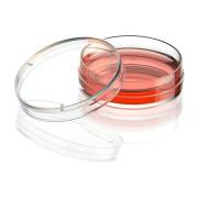 Diamond® SureGro™ Cell Culture Dish, Tissue Culture Treated - 35 x 10 mm (Case of 500)
