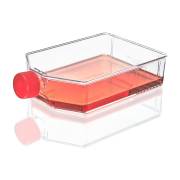 Diamond® SureGro™ Cell Culture Flask, Tissue Culture Treated with Plug Cap - 225 cm² (Case of 25)