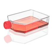 Diamond® SureGro™ Cell Culture Flask, Tissue Culture Treated with Vent Cap - 225 cm² (Case of 25)