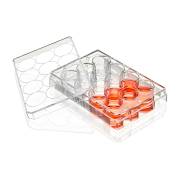 Diamond® SureGro™ Multiple Well Plate, Tissue Culture Treated, Flat Bottom - 12 Well (Box of 50)