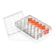 Diamond® SureGro™ Multiple Well Plate, Tissue Culture Treated, Flat Bottom - 24 Well (Box of 50)