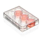 Diamond® SureGro™ Multiple Well Plate, Non-Treated, Flat Bottom - 6 Well (Box of 50)