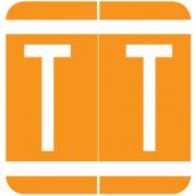 GBS 8848 Match VRPK Series Alpha Sheet Labels - Letter T - Orange