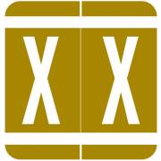 GBS 8848 Match VRPK Series Alpha Sheet Labels - Letter X - Gold