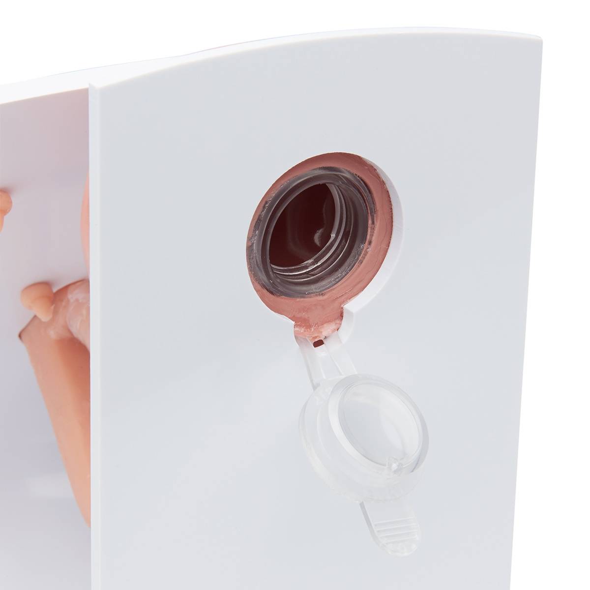 1601933 Male & Female Catheterization Trainers Models Set