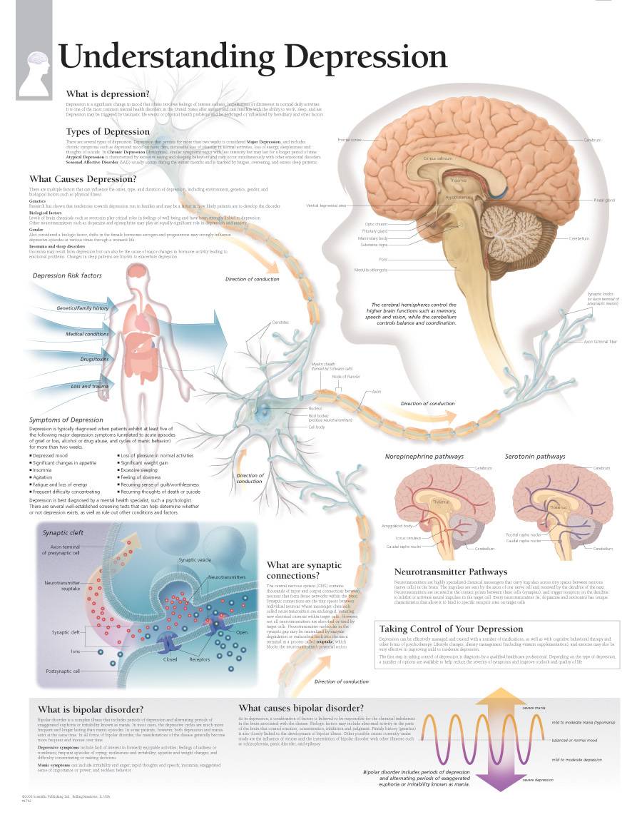 what is the hypothesis of depression