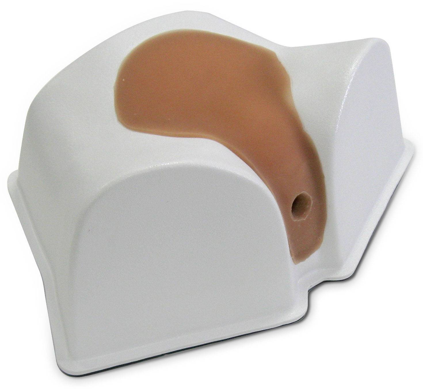 Female Ultrasound Training Pelvis Phantom