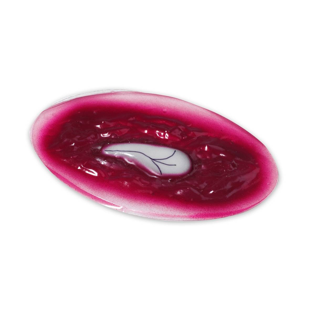 Life form 800 831 Moulage Wound Open Head Wound Simulator