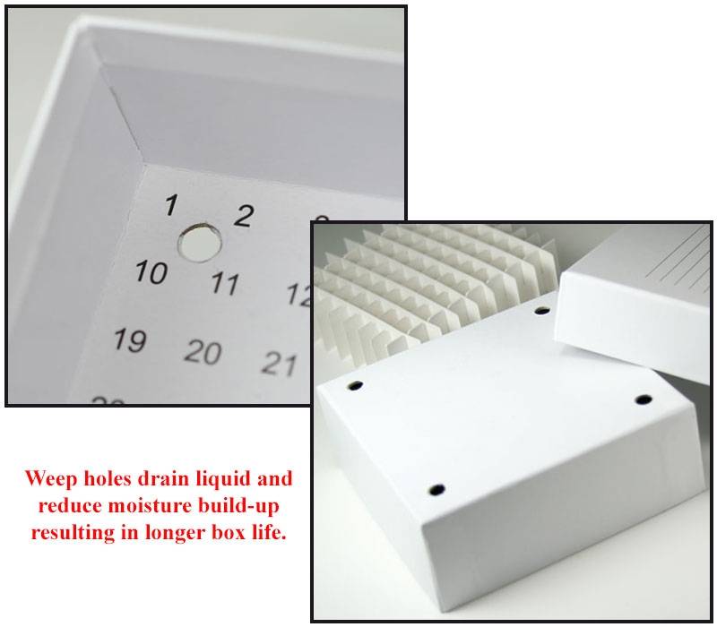 Cardboard Freezer Storage Boxes for 2" and 3" Tall Vials Globe Scientific