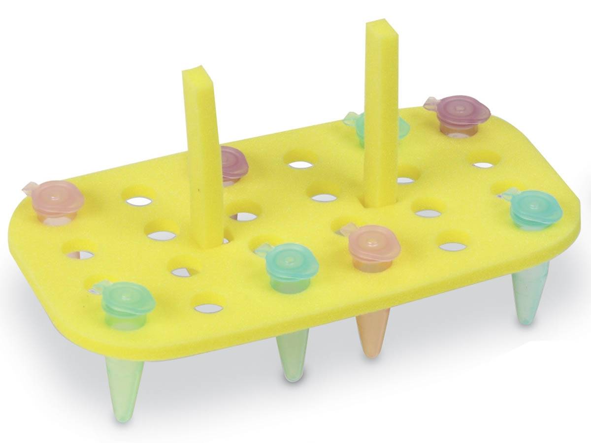 flamingo floatie pool
