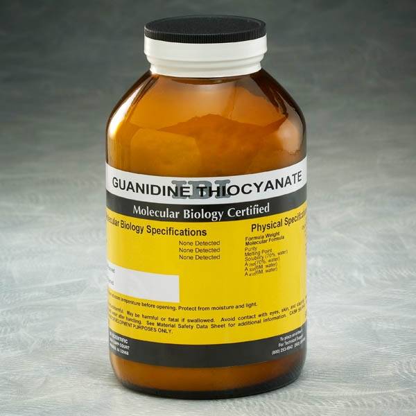 IBI IB05100 Guanidine Thiocyanate 500gm Molecular Biology Reagent