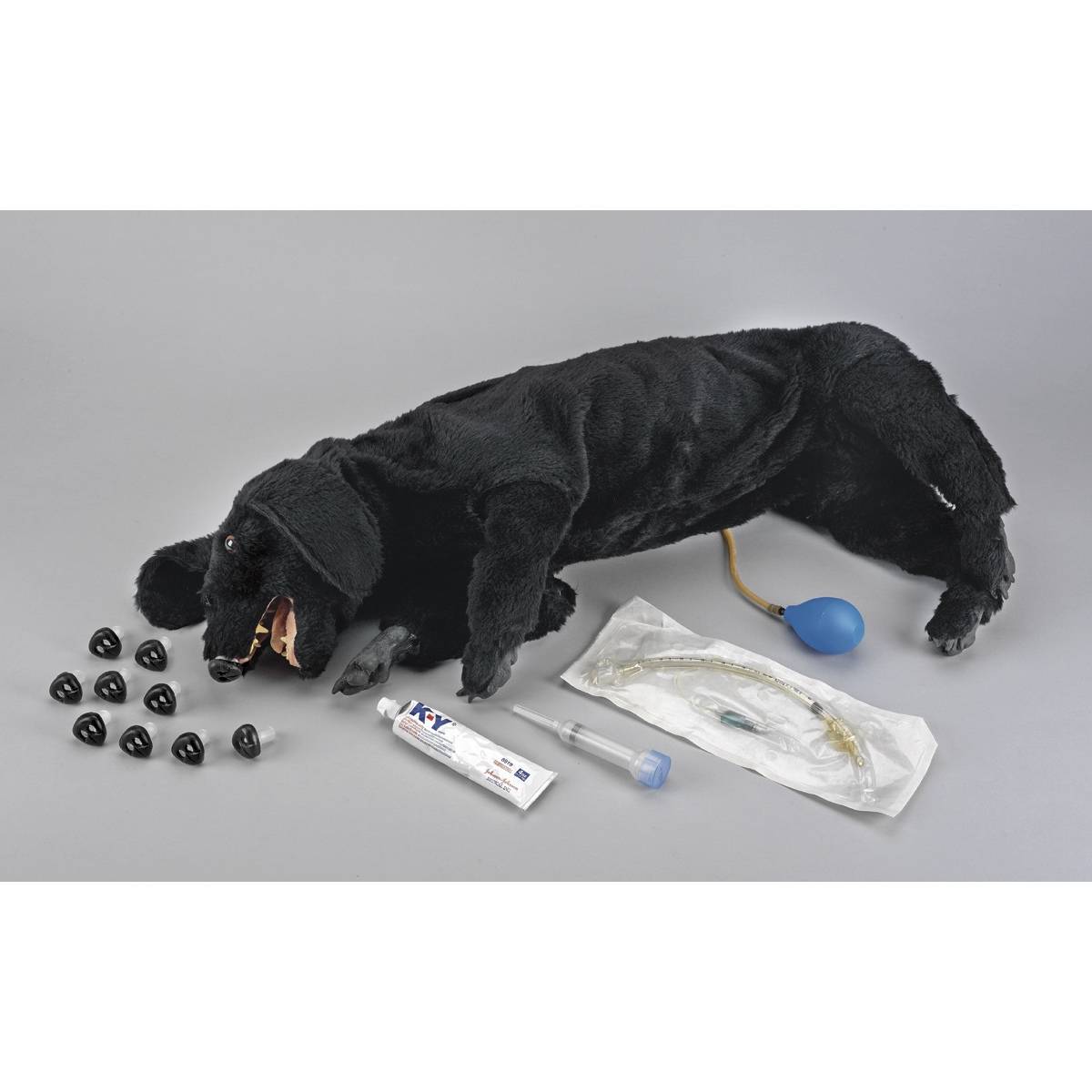 LF01156 Life/form Basic Sanitary CPR Dog