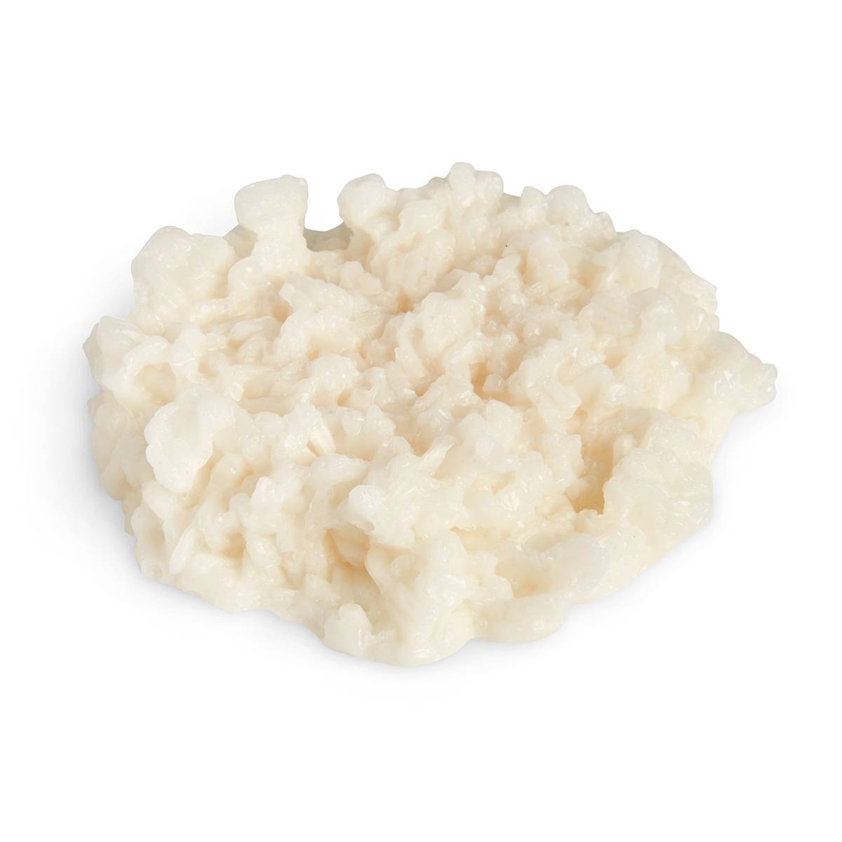 nasco-life-form-rice-food-replica-white-1-2-cup-120-ml