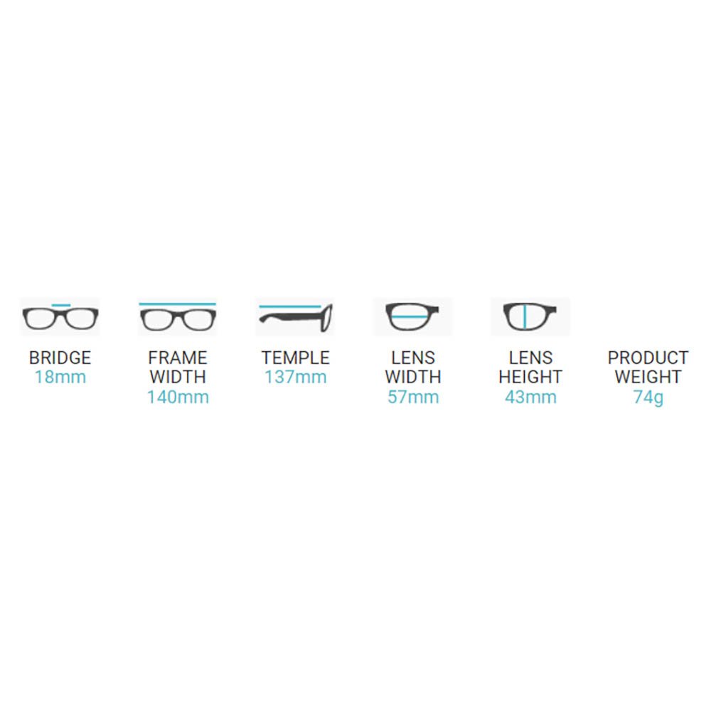 Sprede frokost kaskade Phillips Safety Oakley Holbrook Radiation Glasses