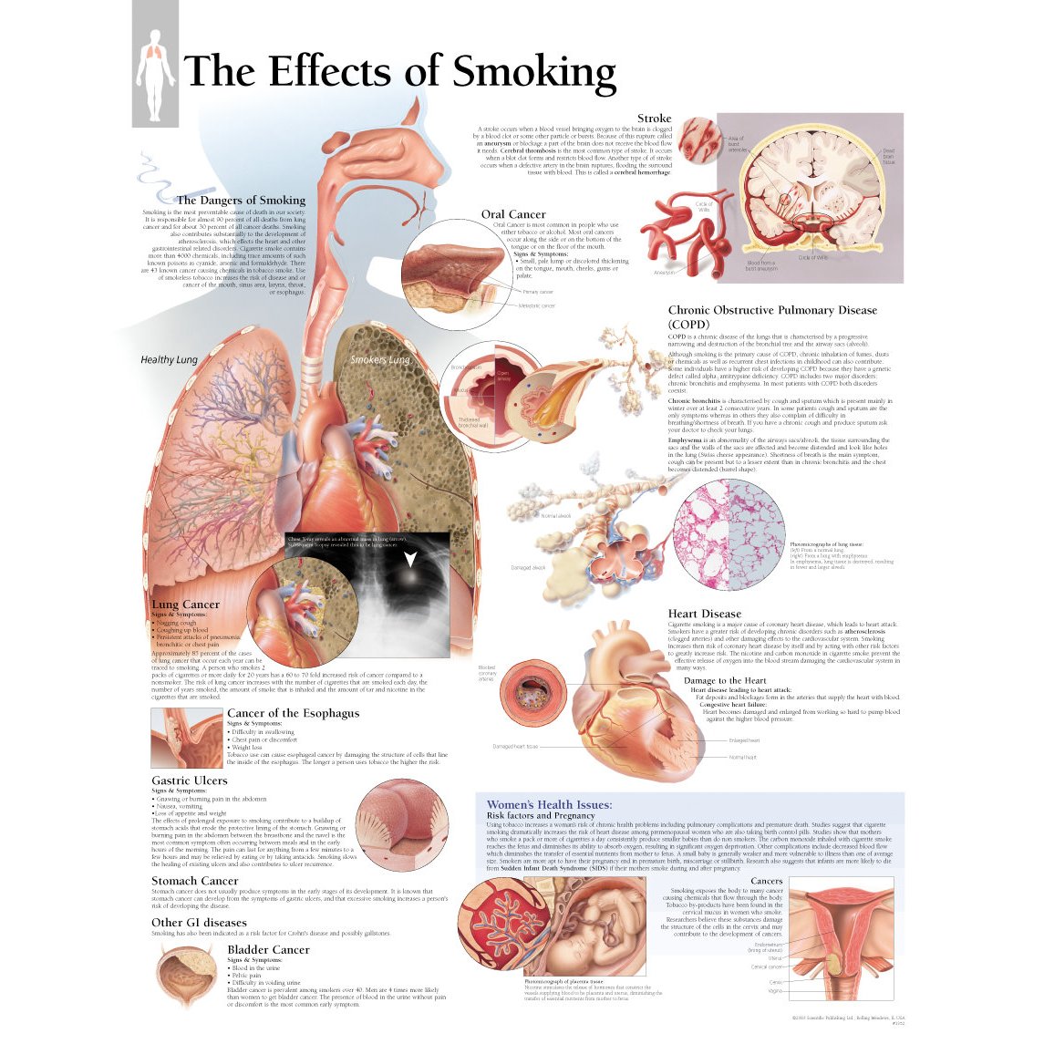 effects of smoking on the lungs