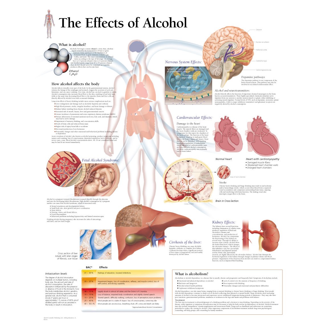 Alcohol Chart For