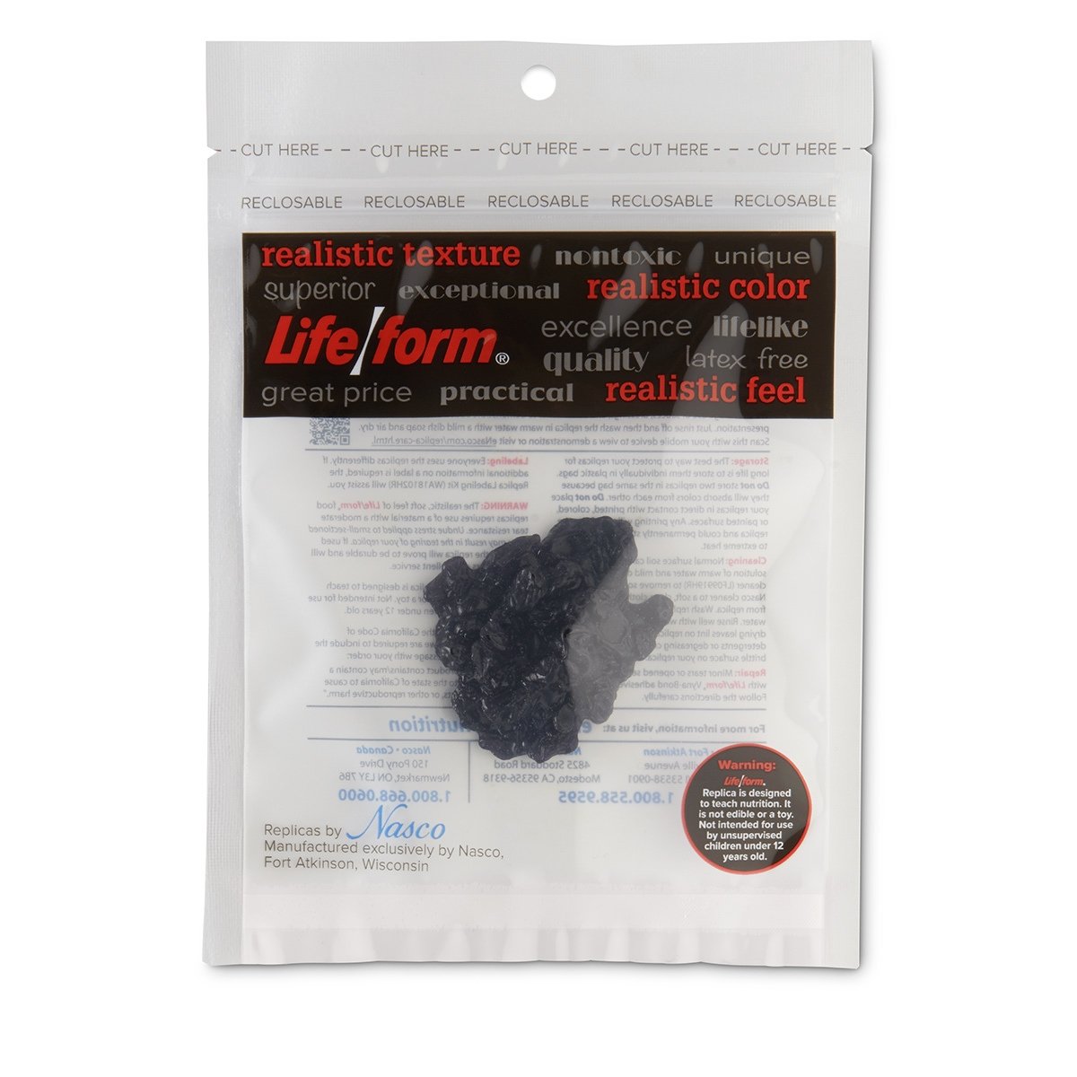 Nasco Life/form Raisins Food Replica 2 tbsp. (30 ml)