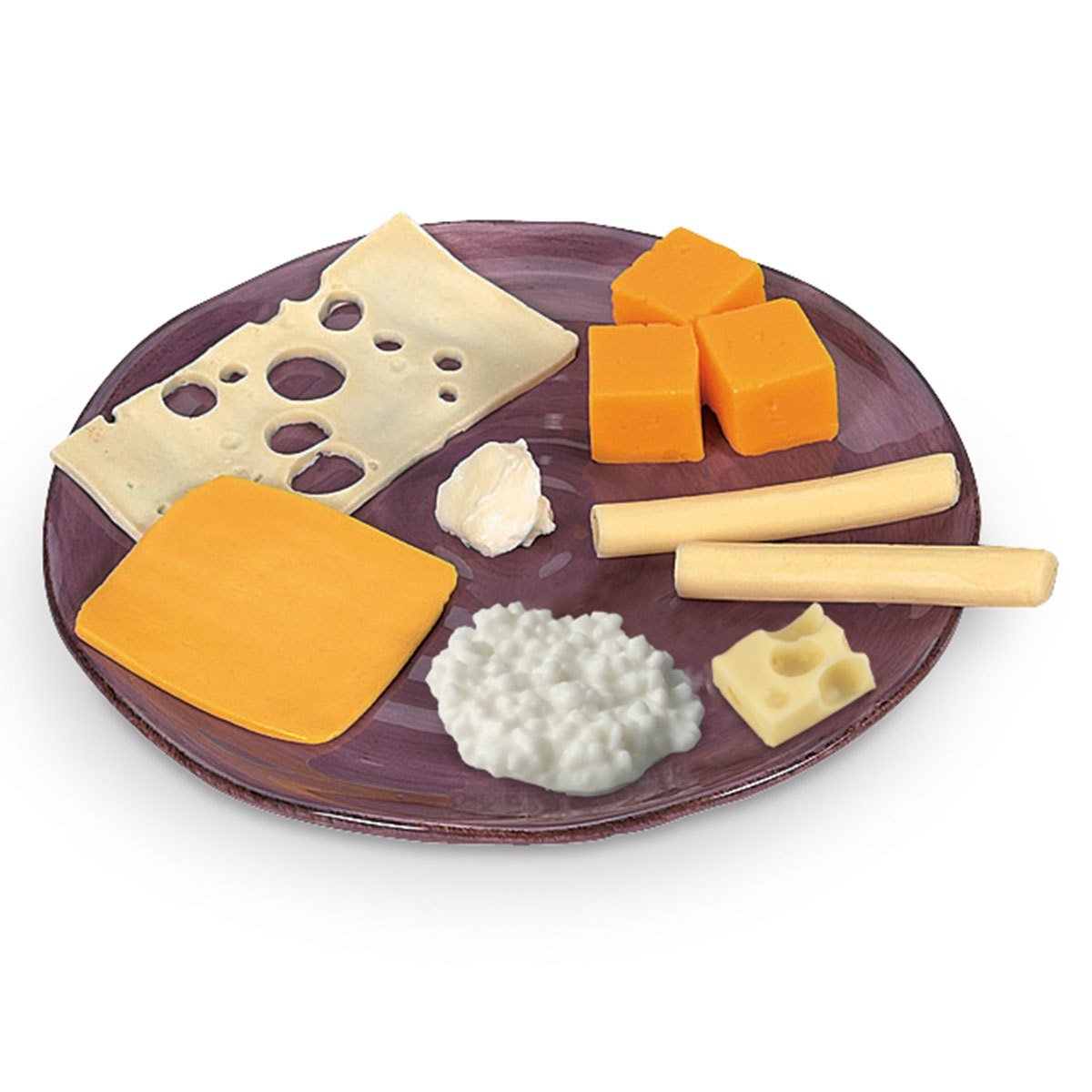 Nasco Life/form Cheese Food Replica Kit