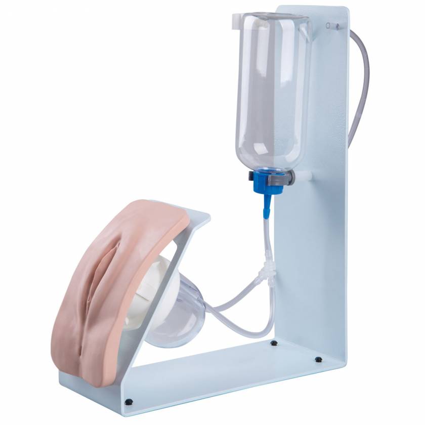 Catheterization Simulator Basic - Female