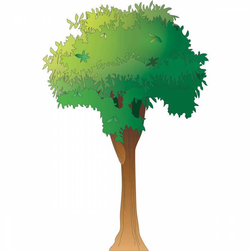 Clinton Wall Sticker - Tree