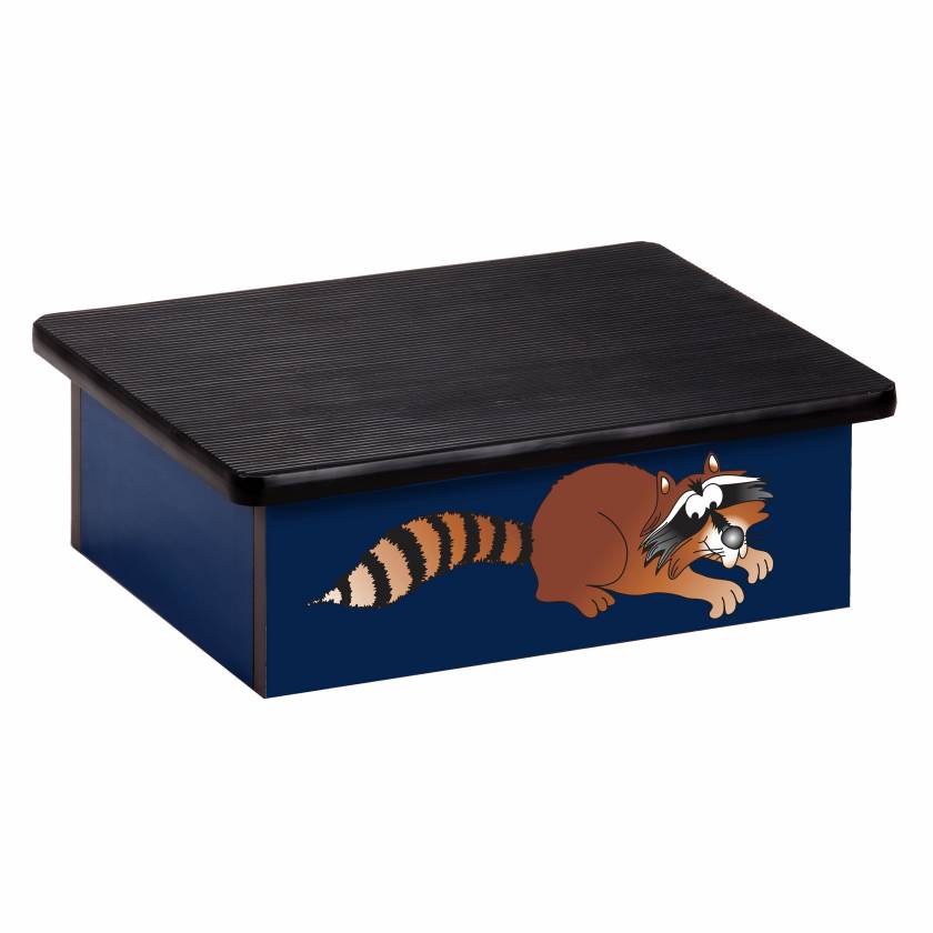 Clinton Pediatric Laminate Step Stool - Raccoon Graphic on Blue