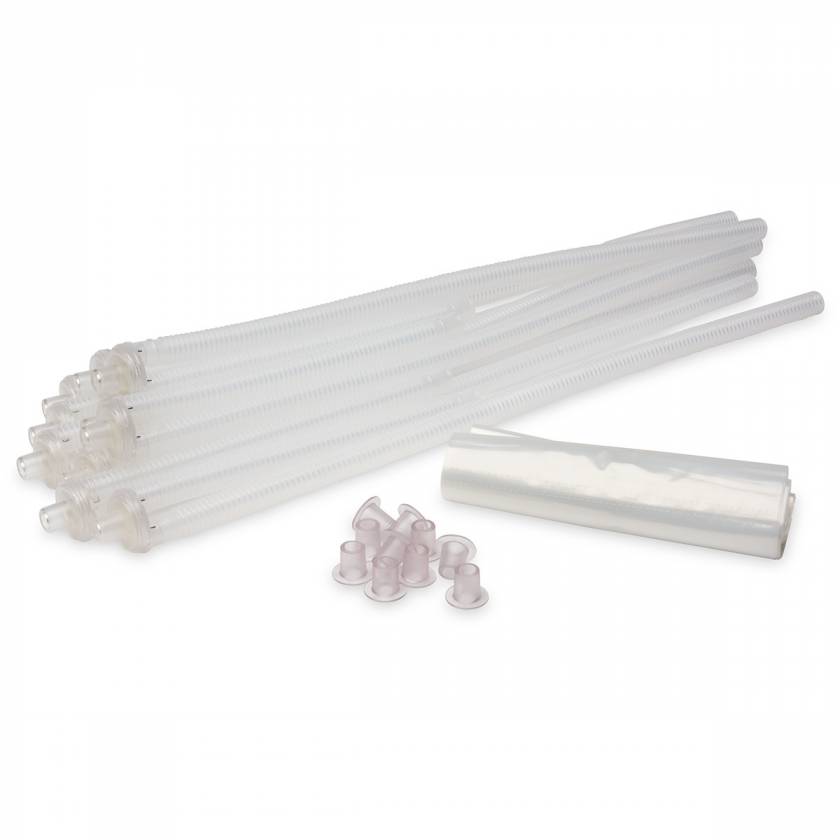 Airway System with Lungs - Pack of 10