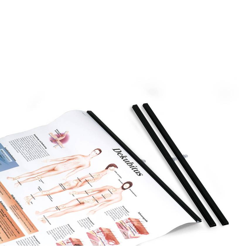 3B Scientific 1002372 Black Plastic Rod for Anatomical Charts - 50 cm (Charts are sold separately)