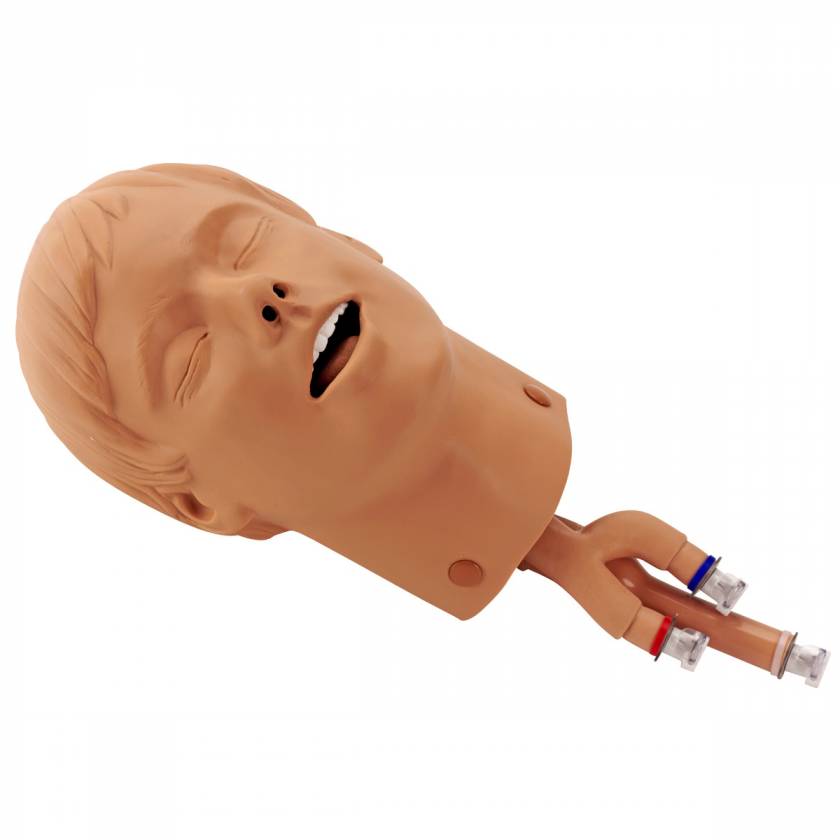 Simulaids Intubation Head - 19 in. x 7 in. x 10 in.