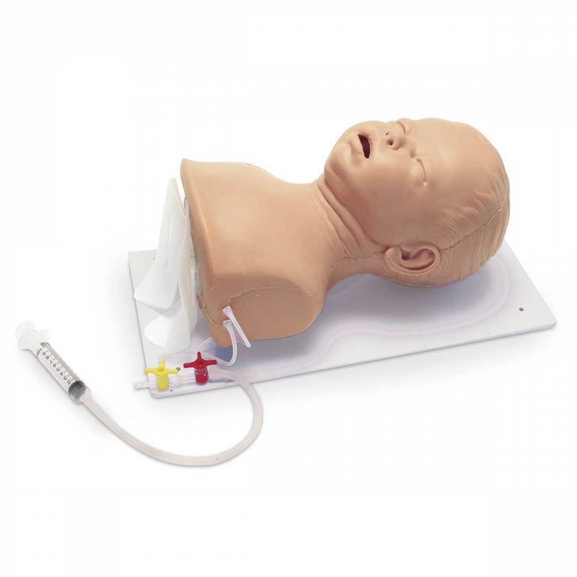 Nasco 101-130 Simulaids Advanced Infant Intubation Head with Board