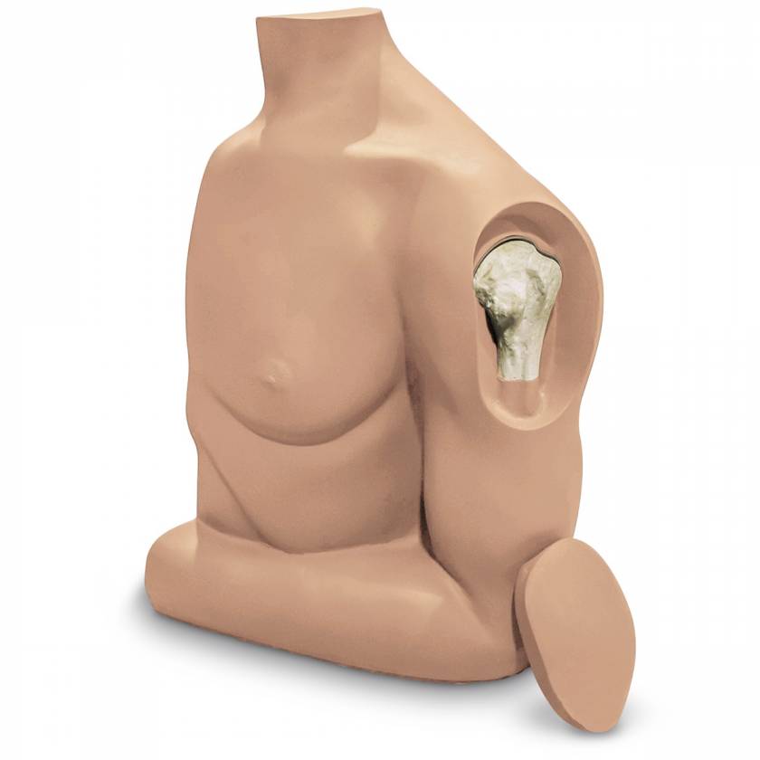 Simulaids Humerus Intraosseous (IO) Trainer