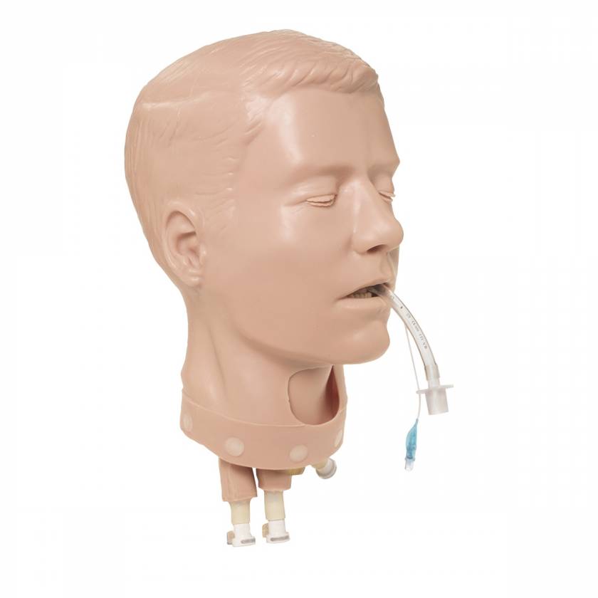 Simulaids Adult Deluxe Airway Management Head