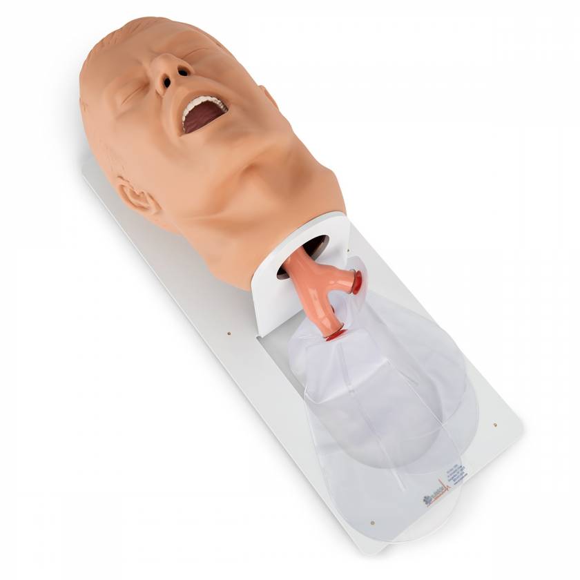 Nasco 101-500 Simulaids Economy Adult Airway Management Trainer with Board