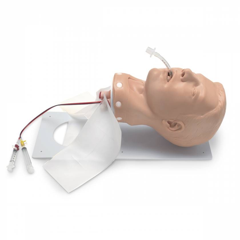 Nasco 101-502 Simulaids Adult Deluxe Airway Management Trainer with Board