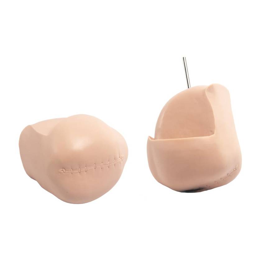 3B Scientific 1020714 Replacement Amputation Stump for P10 and P11