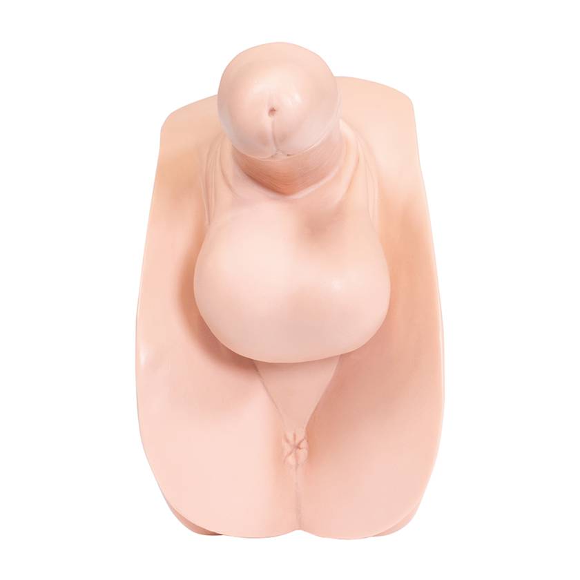 3B Scientific 1020717 Replacement Male Genital Insert for P11