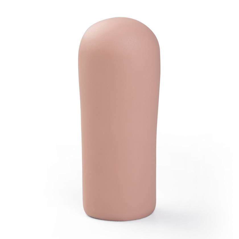 3B Scientific 1020725 Replacement Section of Intestine with Artificial Stoma for P10