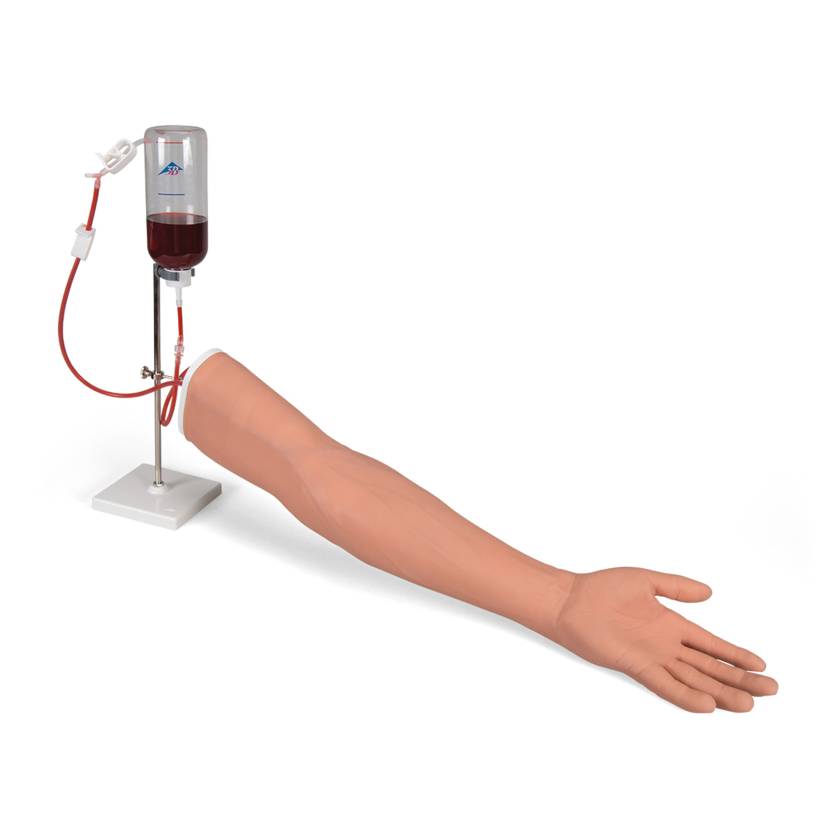 3B Scientific 1021418 SKINlike⢠I.V. Injection Arm - Light Skin Tone