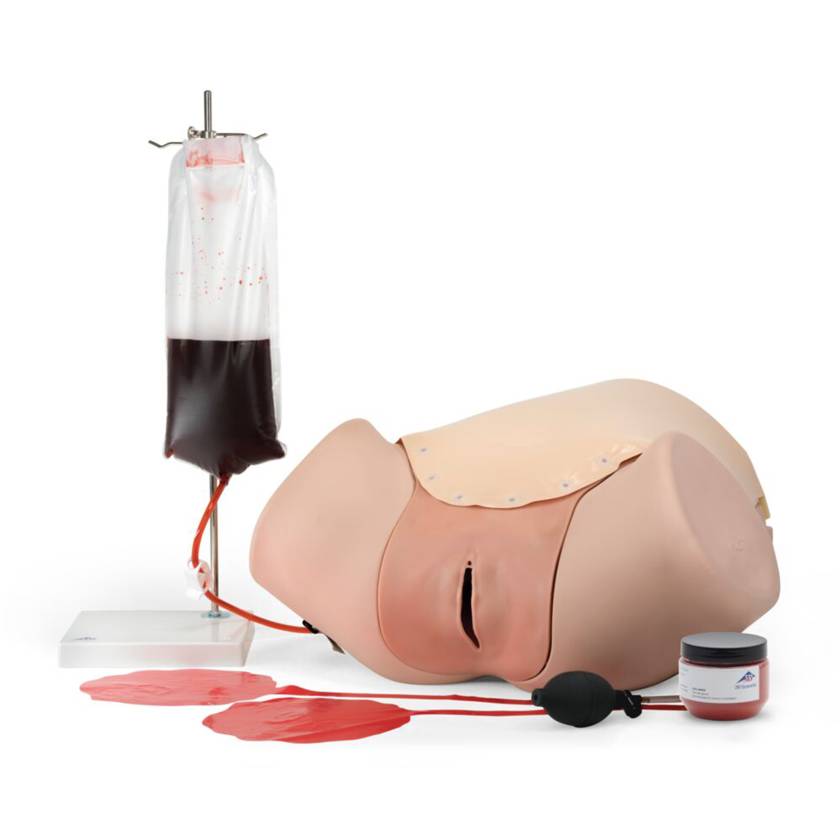 3B Scientific 1021568 Postpartum Hemorrhage Trainer