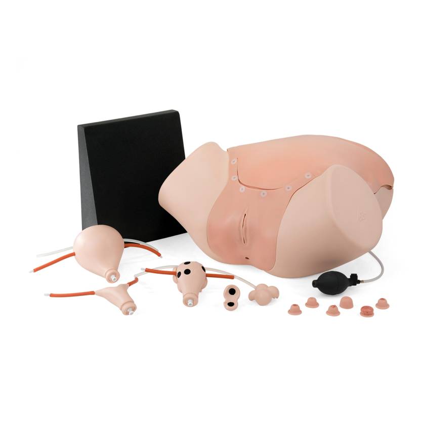 3B Scientific 1021592 SKINlike™ Gynecologic Skills Trainer - Light Skin Tone