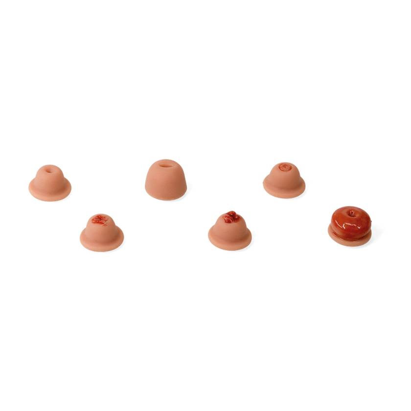 3B Scientific 1021593 Replacement Cervix Set for SKINlike™ Gynecologic Skills Trainer