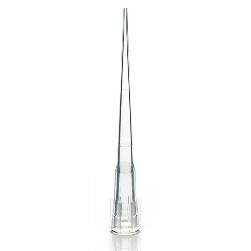 Globe Scientific 150035 0.1uL-10uL XL Certified Universal Low Retention Graduated Pipette Tip - 45mm, Extended Length