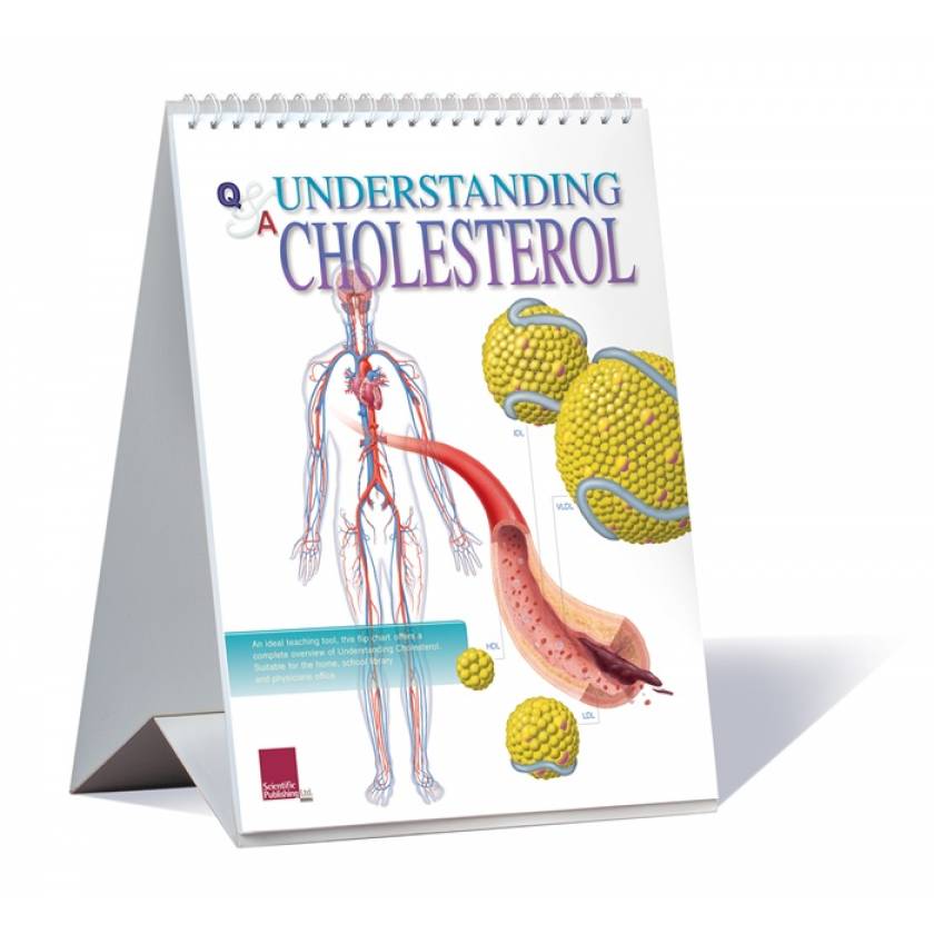 Understanding Cholesterol Flip Chart